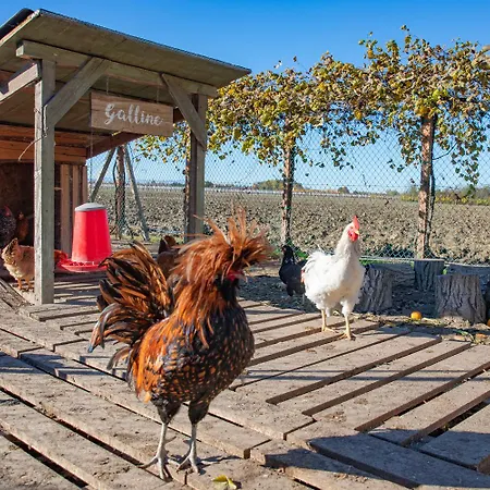 Saranto, Maison Du Charme - Nel Cuore Dell'emilia 3* Carpi