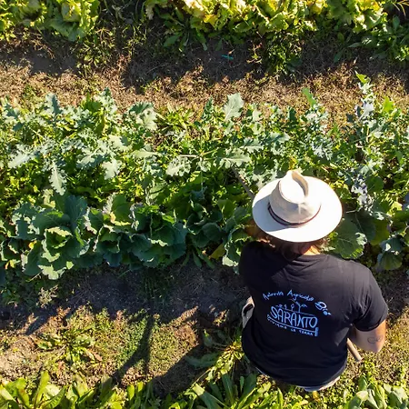 Saranto, Maison Du Charme - Nel Cuore Dell'emilia 3*
