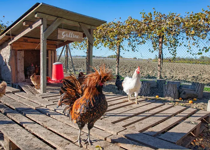 Saranto, Maison Du Charme - Nel Cuore Dell'emilia 3* Carpi