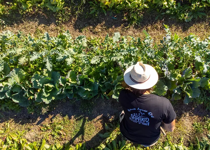 Saranto, Maison Du Charme - Nel Cuore Dell'emilia 3*