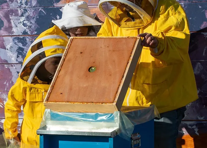 Saranto, Maison Du Charme - Nel Cuore Dell'emilia كابري